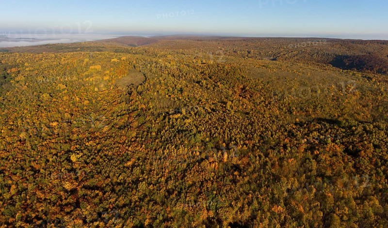 Autumn atmosphere