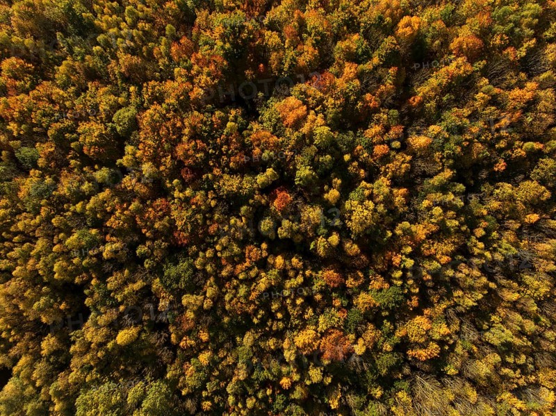 Autumn atmosphere