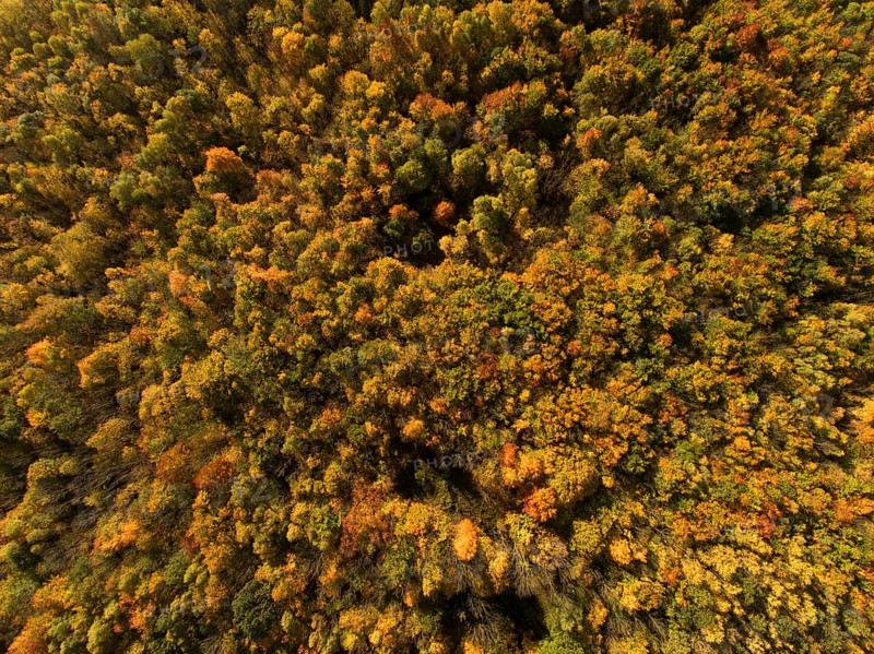 Autumn atmosphere