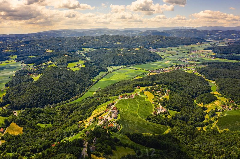 Aerial view of green hills and vineyards