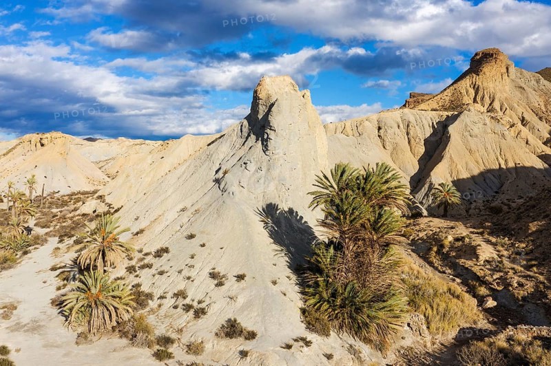 Bare ridges of eroded sandstone and palm trees in the Tabernas Desert