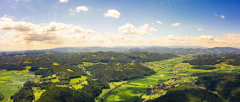 Aerial panorama of green hills and vineyards