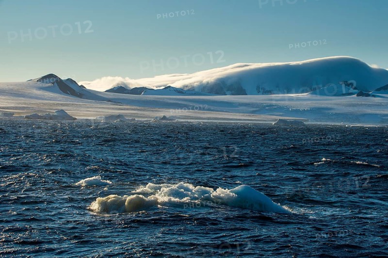 Little icebergs loating before the huge glaciers on Tabarin Peninsula