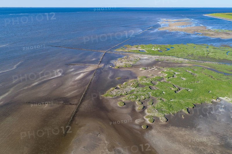 Salt marshes in front of the dike