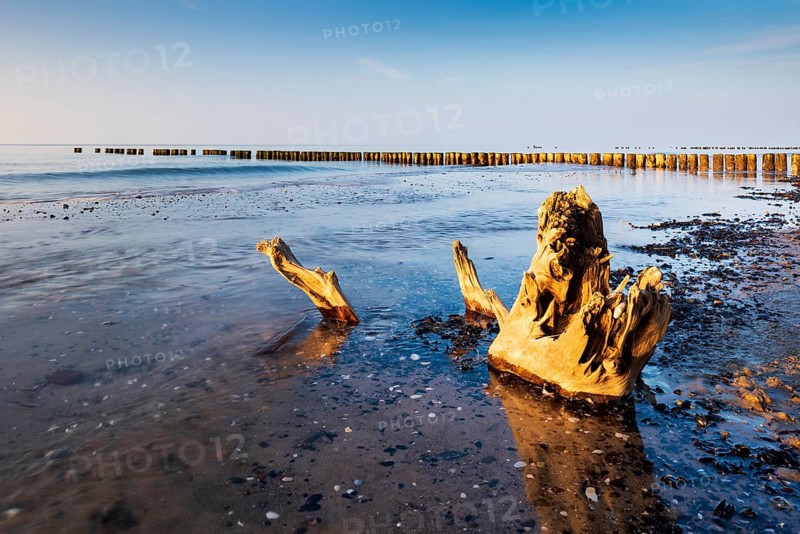 Evening at the beach of the Baltic Sea