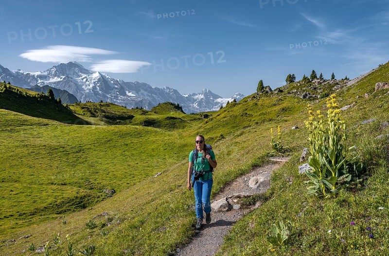 Hiker at the Schynige Platte