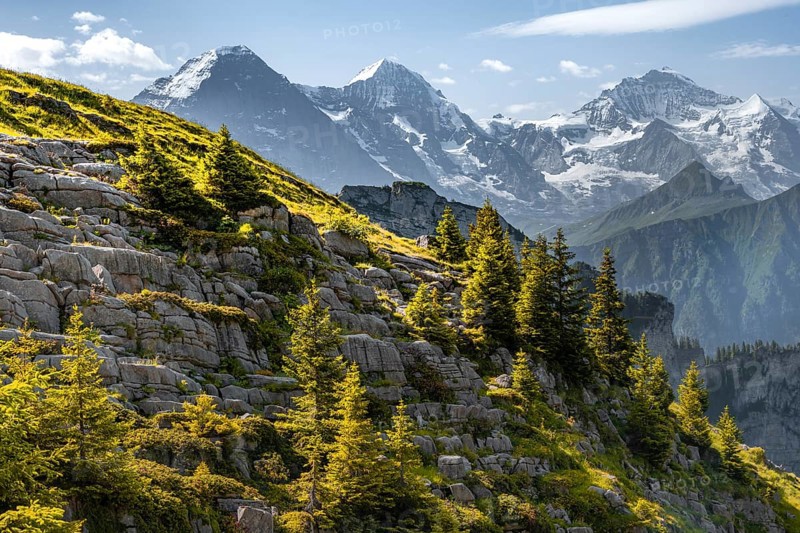 Alpine landscape