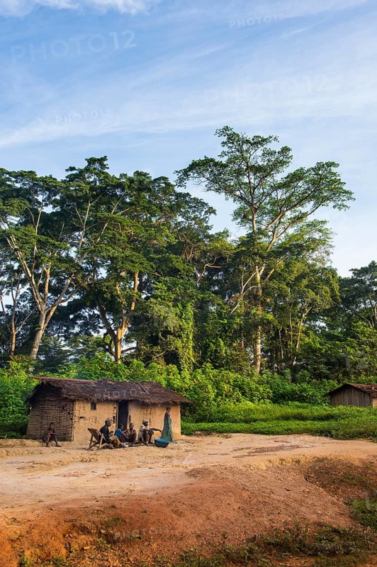 Mud house
