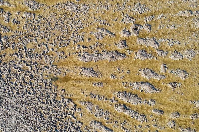 Saline soil near the saltworks at Almadraba de Monteleva