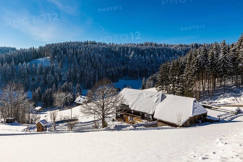 Black Forest farm in winter