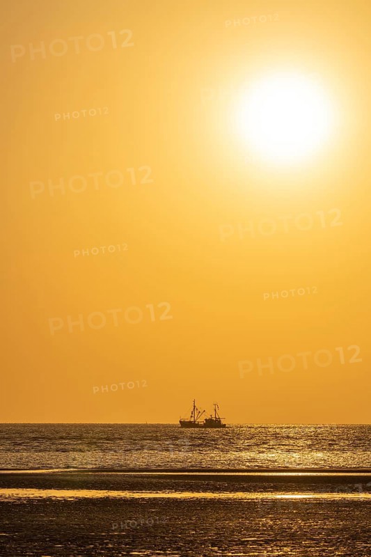 Crab cutter in the mudflats at evening light