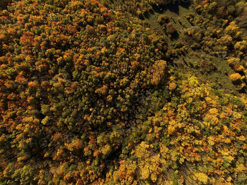 Autumn atmosphere
