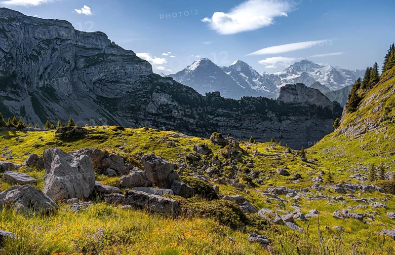 Alpine landscape