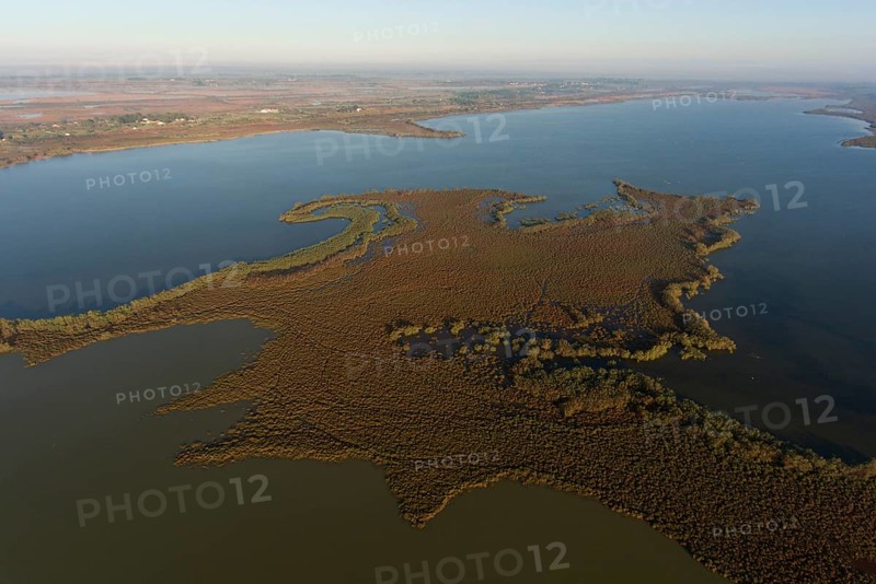 Salt lakes