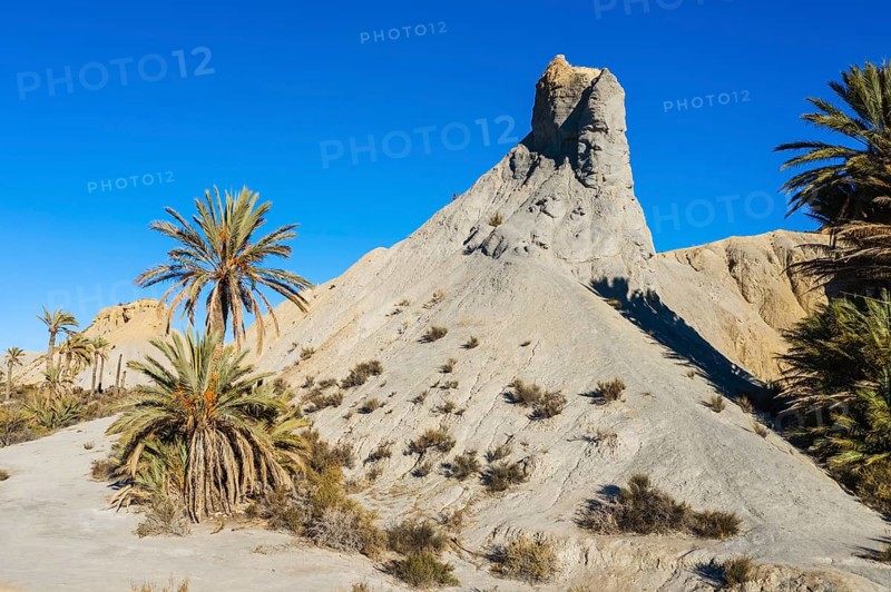 Bare ridges of eroded sandstone and palm trees in the Tabernas Desert