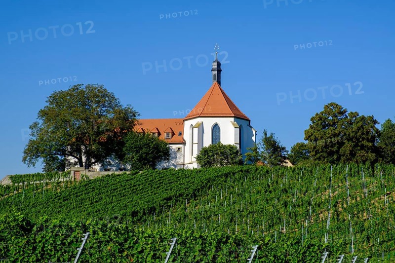 Vineyard with Church of the Protection of the Virgin Mary at Vogelsburg Monastery