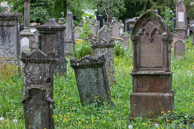 Gravestones at the Jewish cemetery