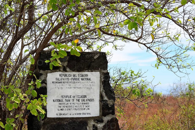 Old marble plaque with admonition to tourists