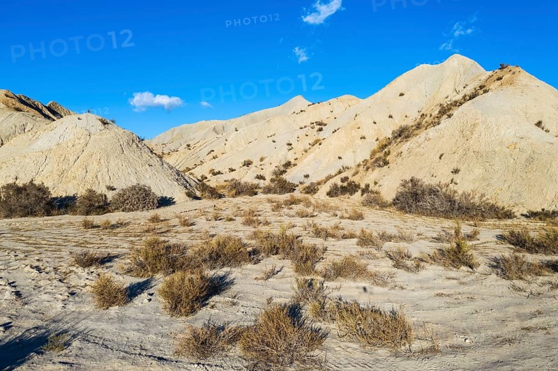 Bare ridges of eroded sandstone in the Tabernas Desert