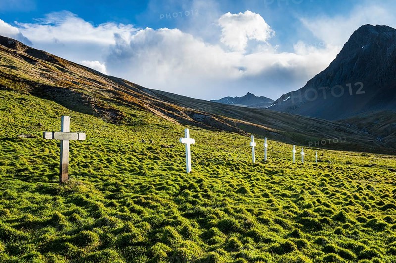 Crosses for dead whalers