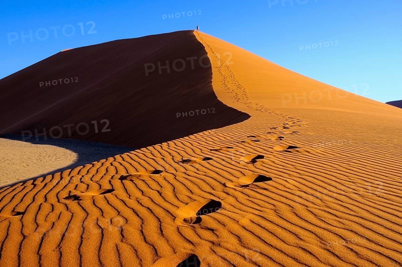 People climb the Dune 45