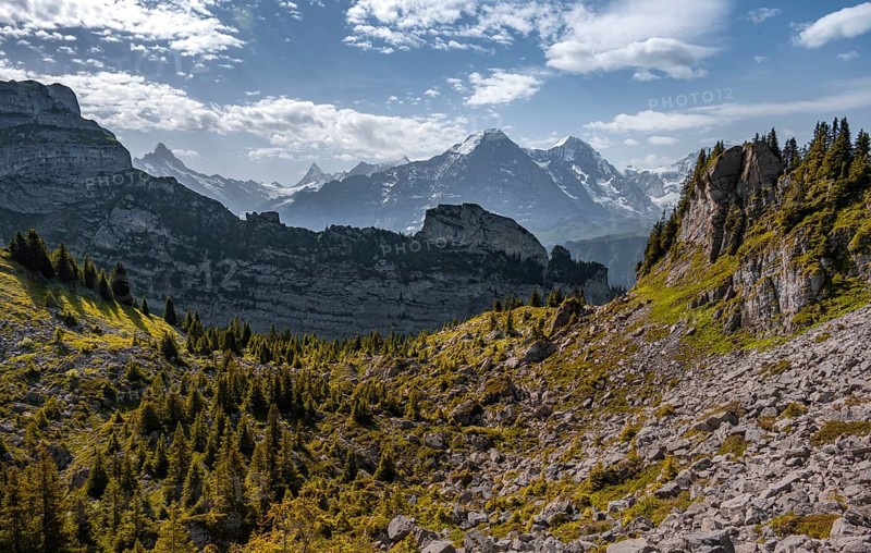 Alpine landscape