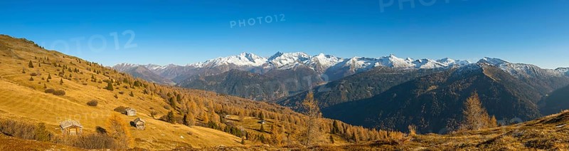 Autumn larch meadows