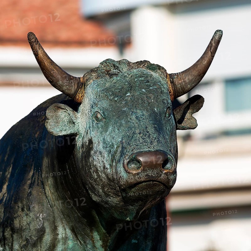 Bull sculpture