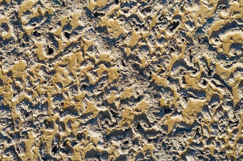 Saline soil near the saltworks at Almadraba de Monteleva