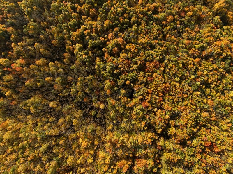 Autumn atmosphere