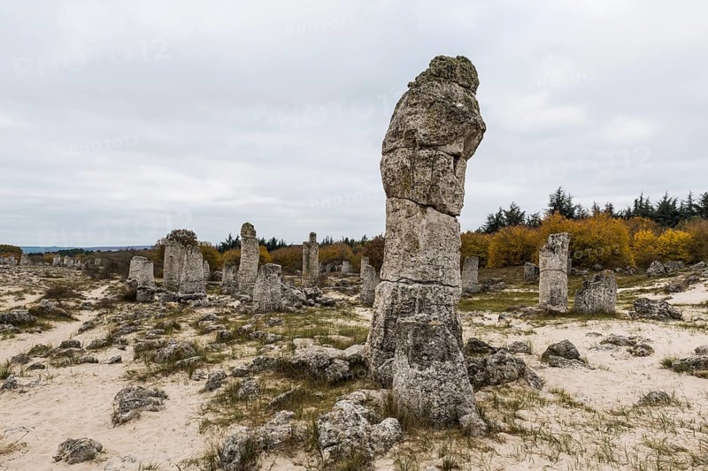 Stone desert Pobiti Kamani rock phenomenon