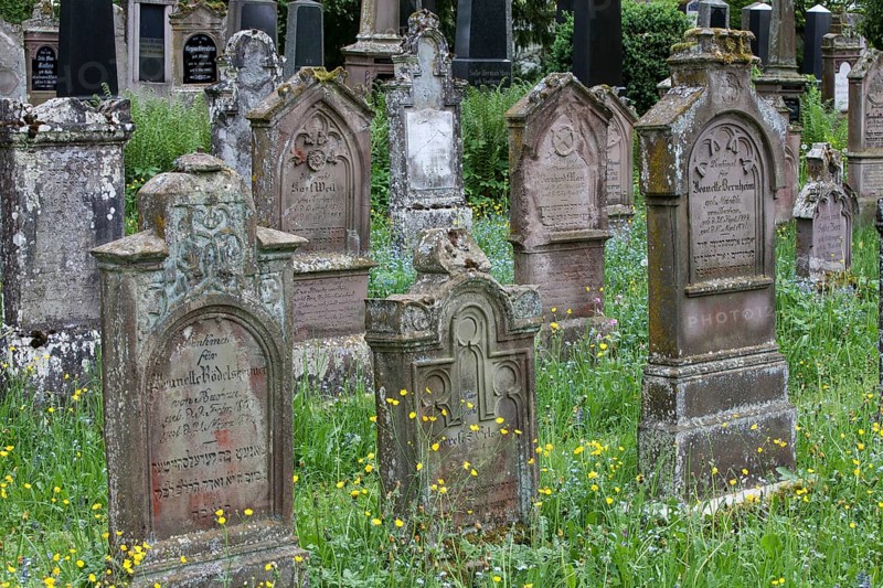 Gravestones at the Jewish cemetery