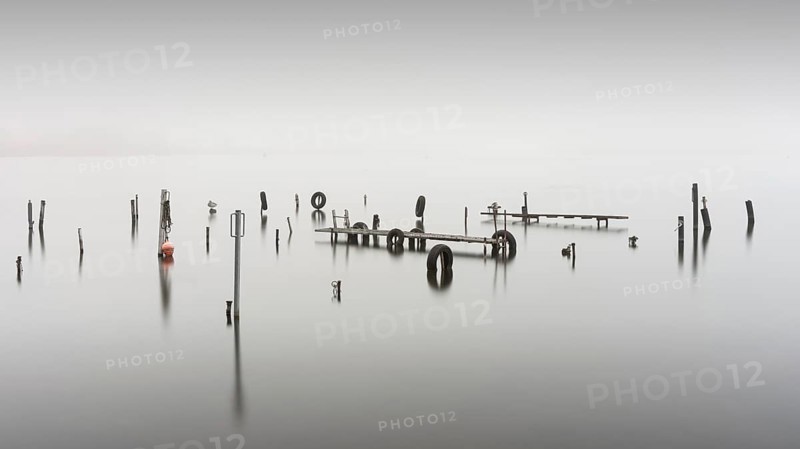 An old jetty in dense fog in the Kleiner Schwielochsee