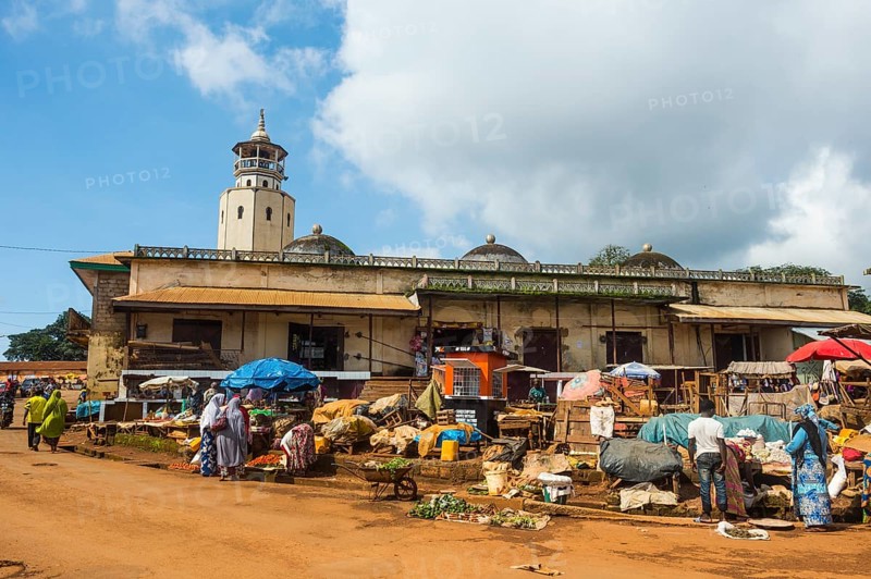 Market before the mosque of Foumban