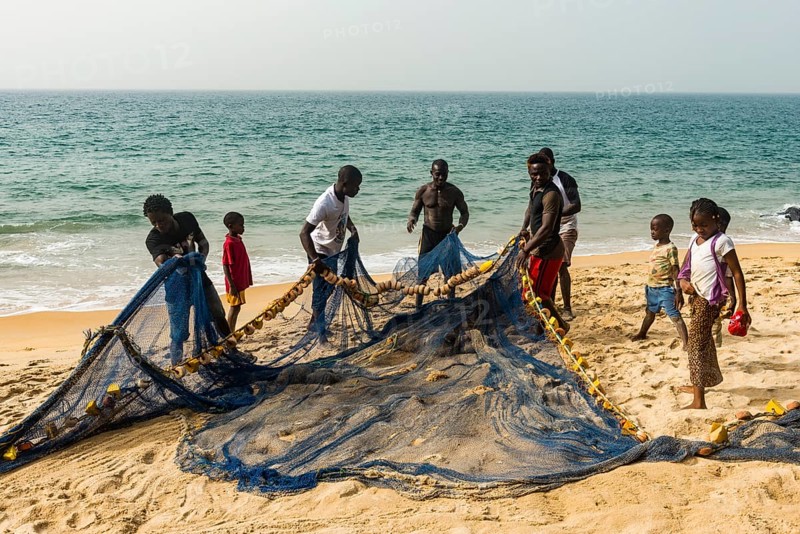 Local fishermen pulling their nets on a beach in Robertsport