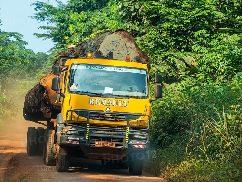 Logging truck in the jungle