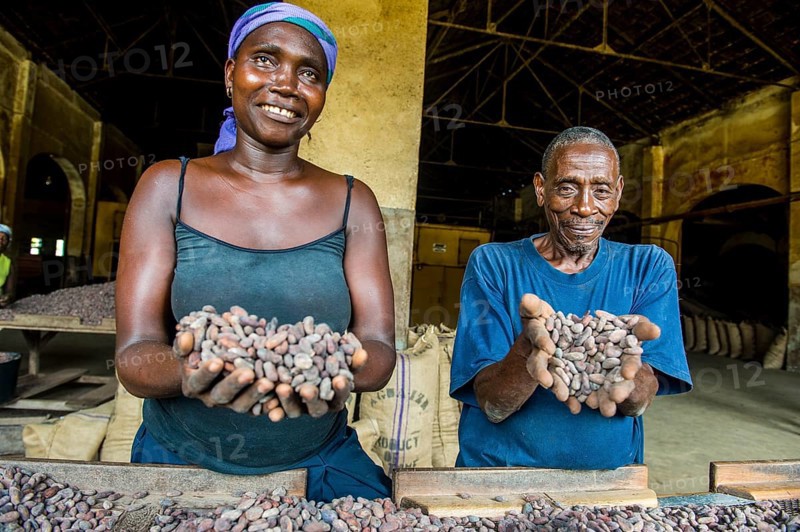 Couple holding cocoa beans in their hands