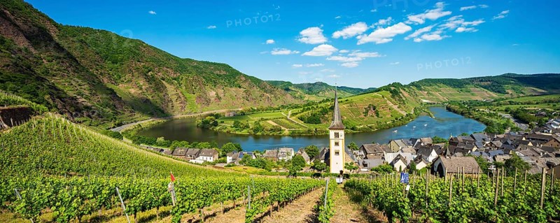 Panorama of the Moselle loop