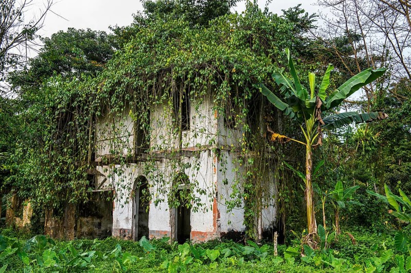 Decaying houses in the old plantation Roca Bombaim in the jungle interior of Sao Tome