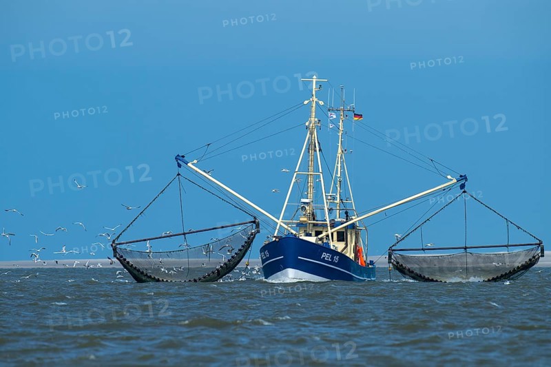Crab cutter in the Wadden Sea