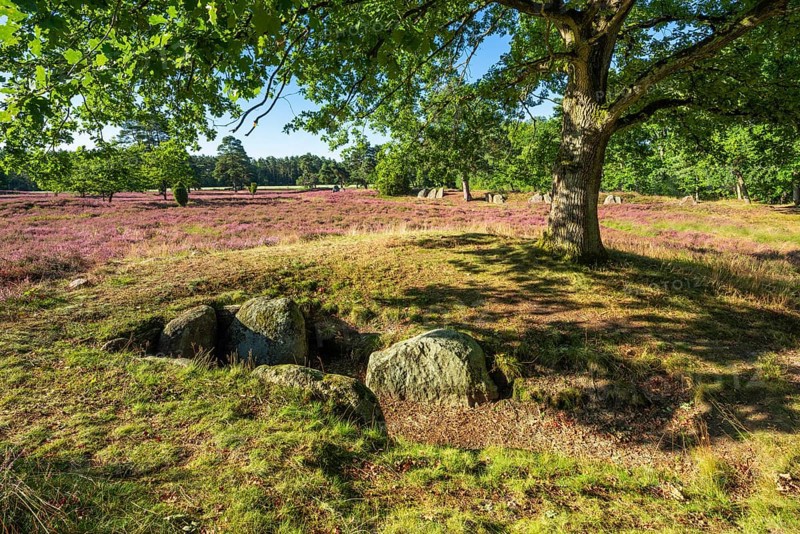 Great stone grave under old oak tree