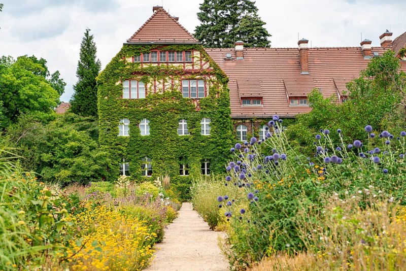 Path between flower beds with blooming summer flower-bed