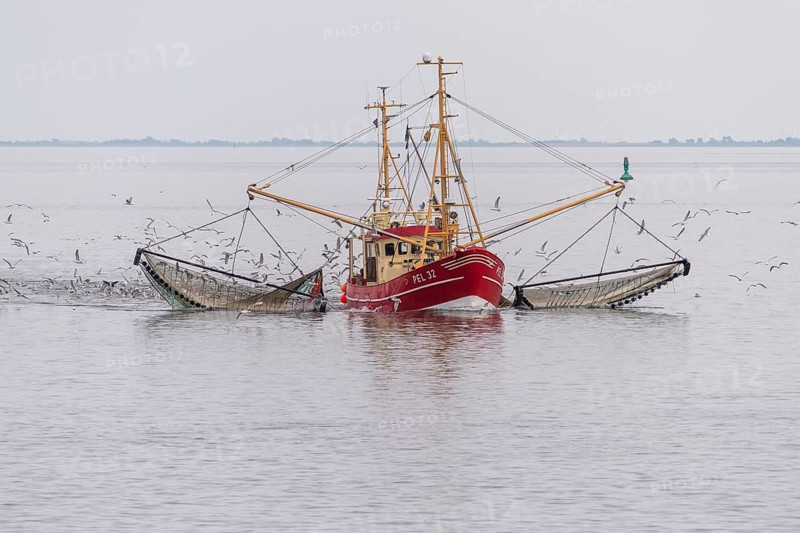 Crab cutter in the Wadden Sea