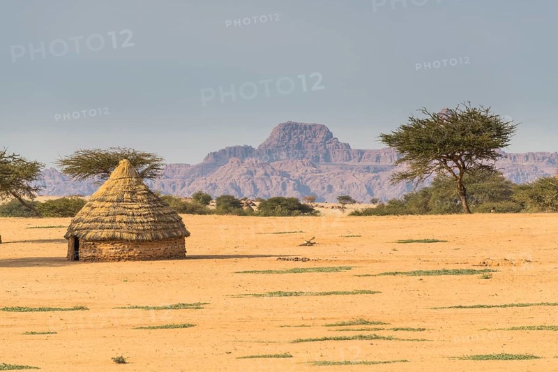 Toubou hut in the Unesco world heritage