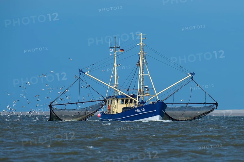 Crab cutter in the Wadden Sea