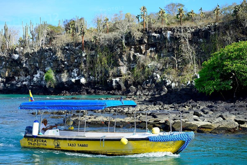 Empty excursion boat coming into port