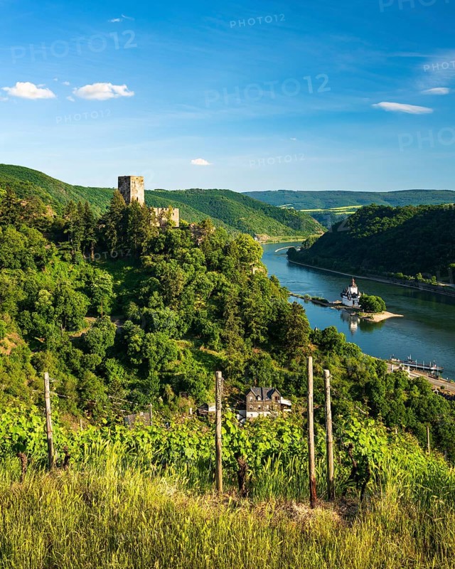 View of Gutenfels Castle on the Rhine