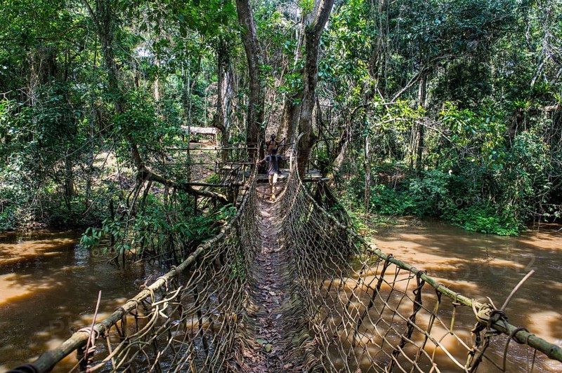 Hand made vine bridge in the Unesco world heritage sight Dzanga-Sangha Park Central African Republic