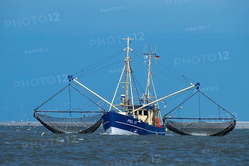 Crab cutter in the Wadden Sea