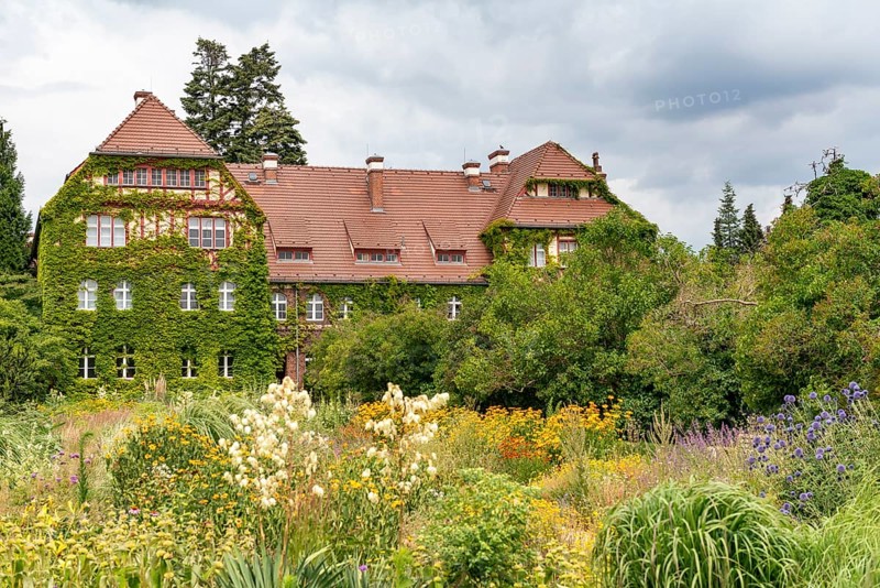 House overgrown with wine and blooming summer flowers